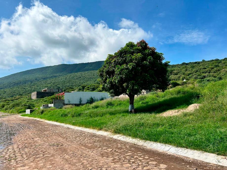 Camino San Martin, Jocotepec, Jalisco, 45800, Mexico, 1 Bedroom Bedrooms, ,Residential,For Sale,Camino San Martin,1672045