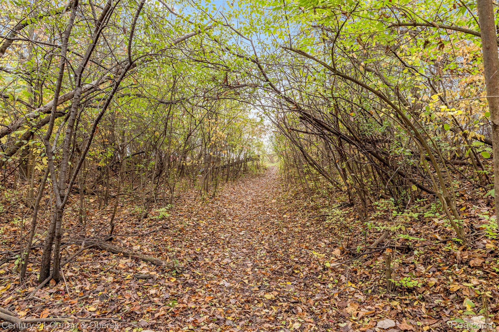 Westland, Michigan, 48185, United States, 3 Bedrooms Bedrooms, ,2 BathroomsBathrooms,Residential,For Sale,1985748