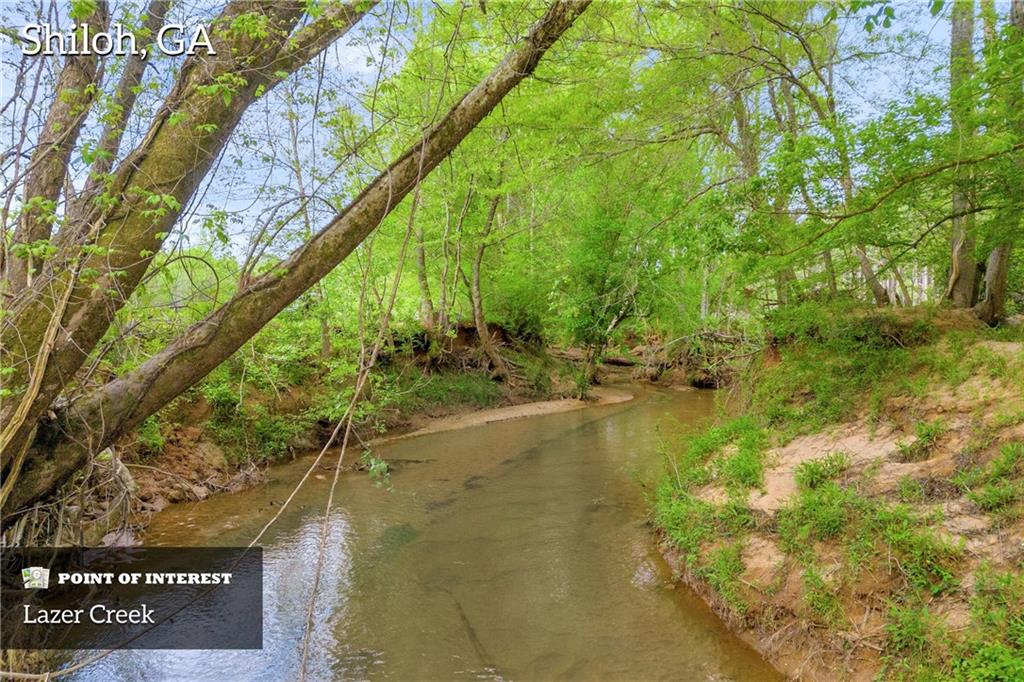 Shiloh, Georgia, 31826, United States, 3 Bedrooms Bedrooms, ,1 BathroomBathrooms,Land,For Sale,1974369