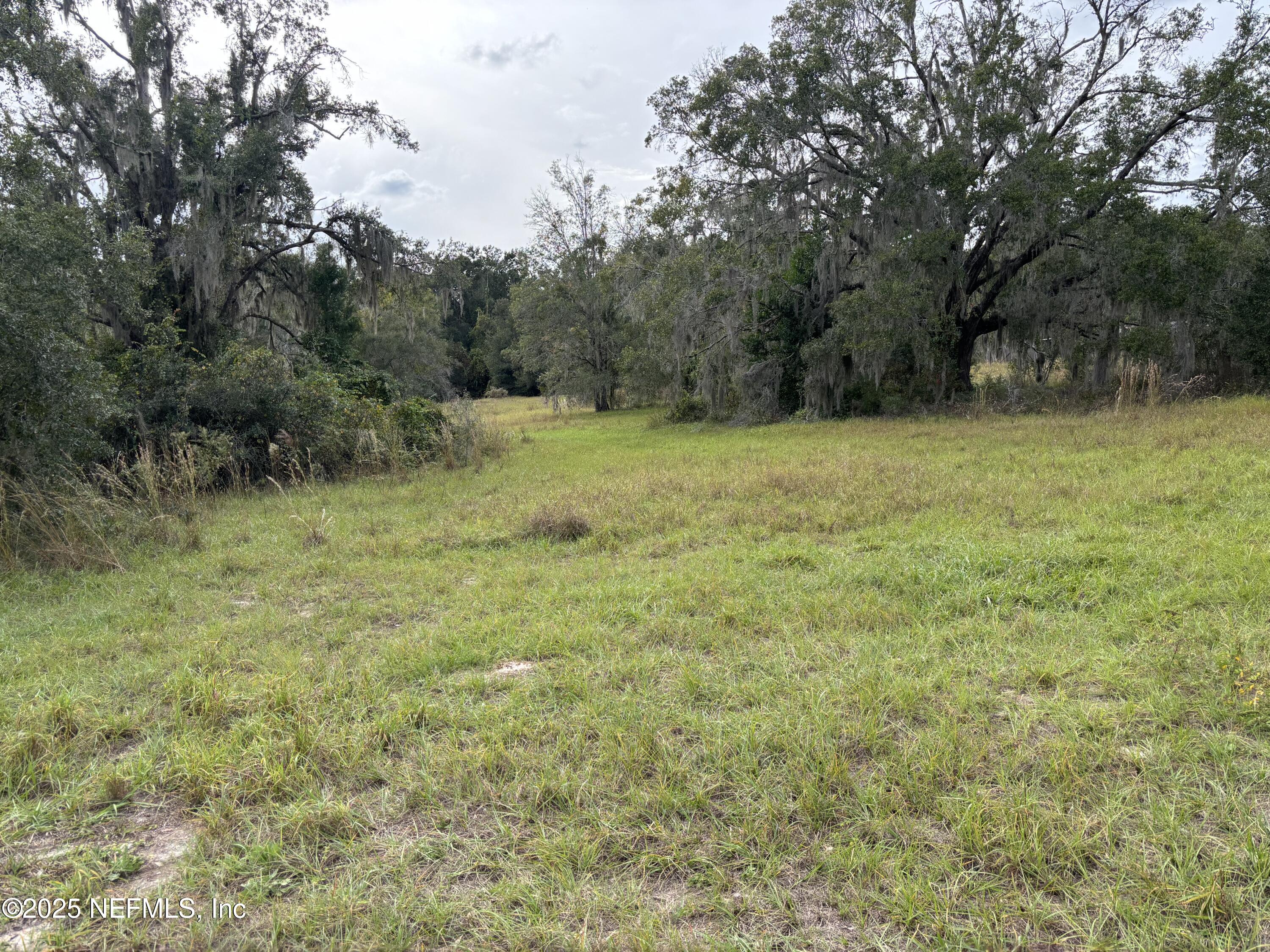 Apopka, Florida, 32712, United States, ,Land,For Sale,1993065