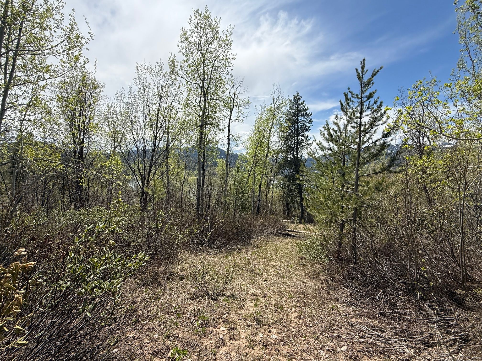  Property Overlooking the Palisades Reservoir - 物件實景