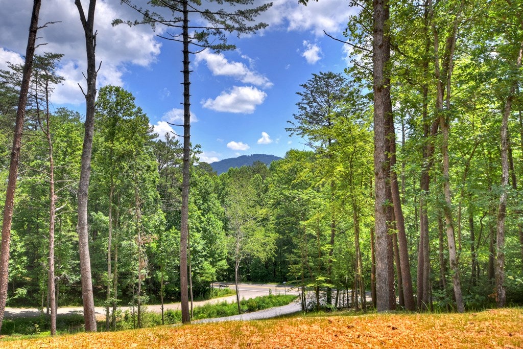 Mineral Bluff, Georgia, 30559, United States, 3 Bedrooms Bedrooms, ,3 BathroomsBathrooms,Residential,For Sale,1871294