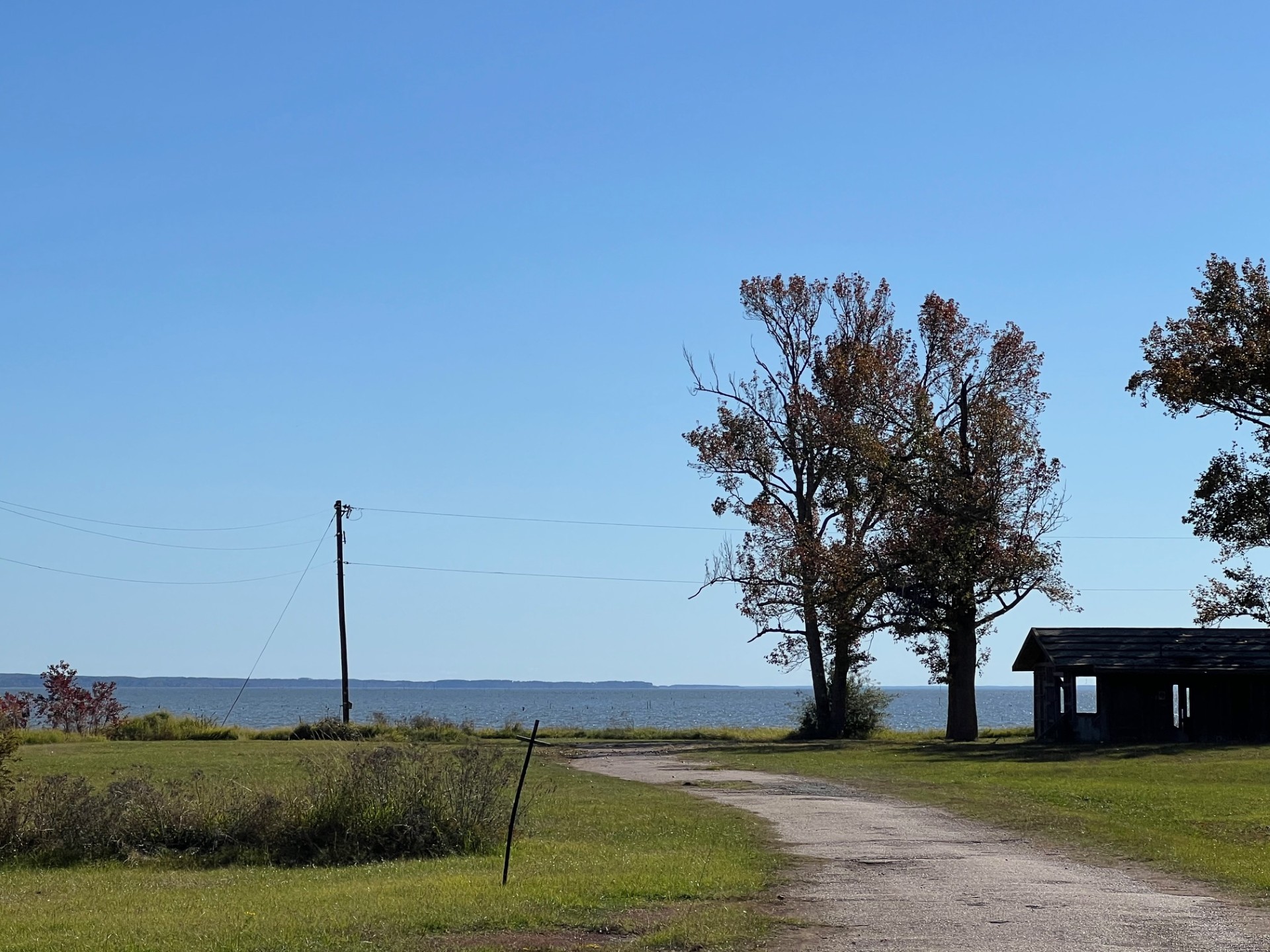 Converse, Louisiana, 71419, United States, ,Residential,For Sale,1995387