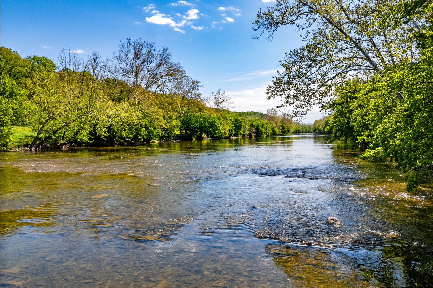  269 River Manor Drive, Front Royal, VA, 22630 - 物件實景