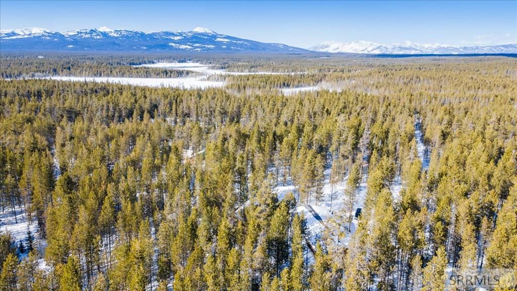 ISLAND PARK, Idaho, 83429, United States, 3 Bedrooms Bedrooms, ,2 BathroomsBathrooms,Residential,For Sale,1974057