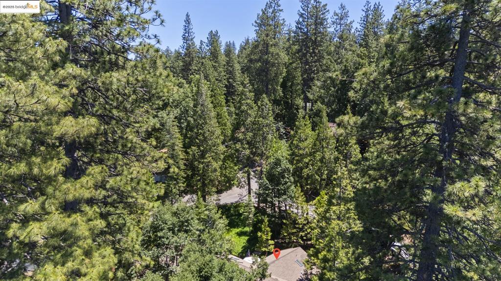 Twain Harte, California, 95383, United States, 3 Bedrooms Bedrooms, ,3 BathroomsBathrooms,Residential,For Sale,1862195