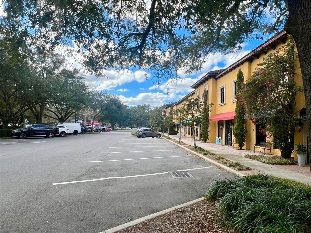 Lake Mary, Florida, 32746, United States, ,Land,For Sale,1989214