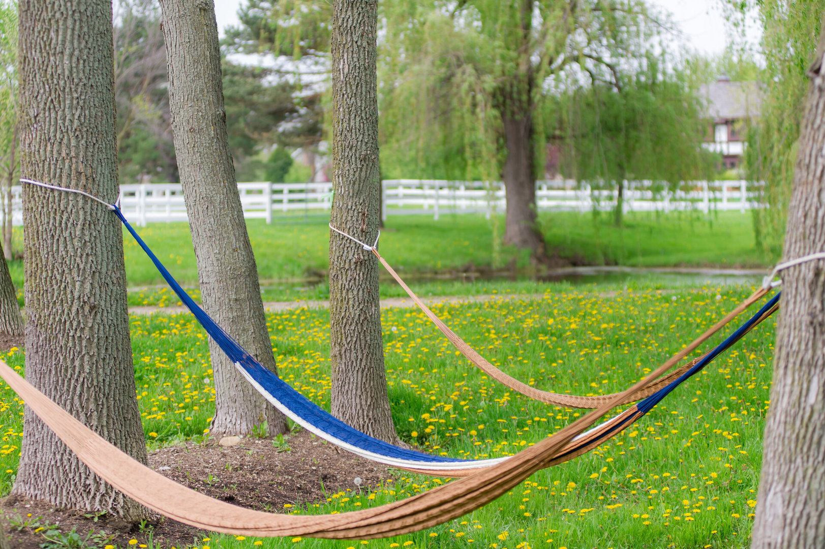 Green Oaks, Illinois, 60048, United States, ,Land,For Sale,1980165