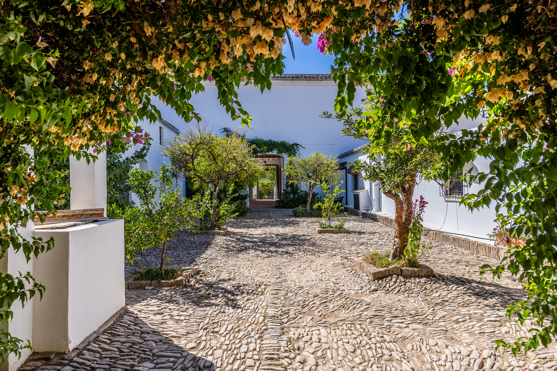  Country house in the province of Cádiz - 物件實景