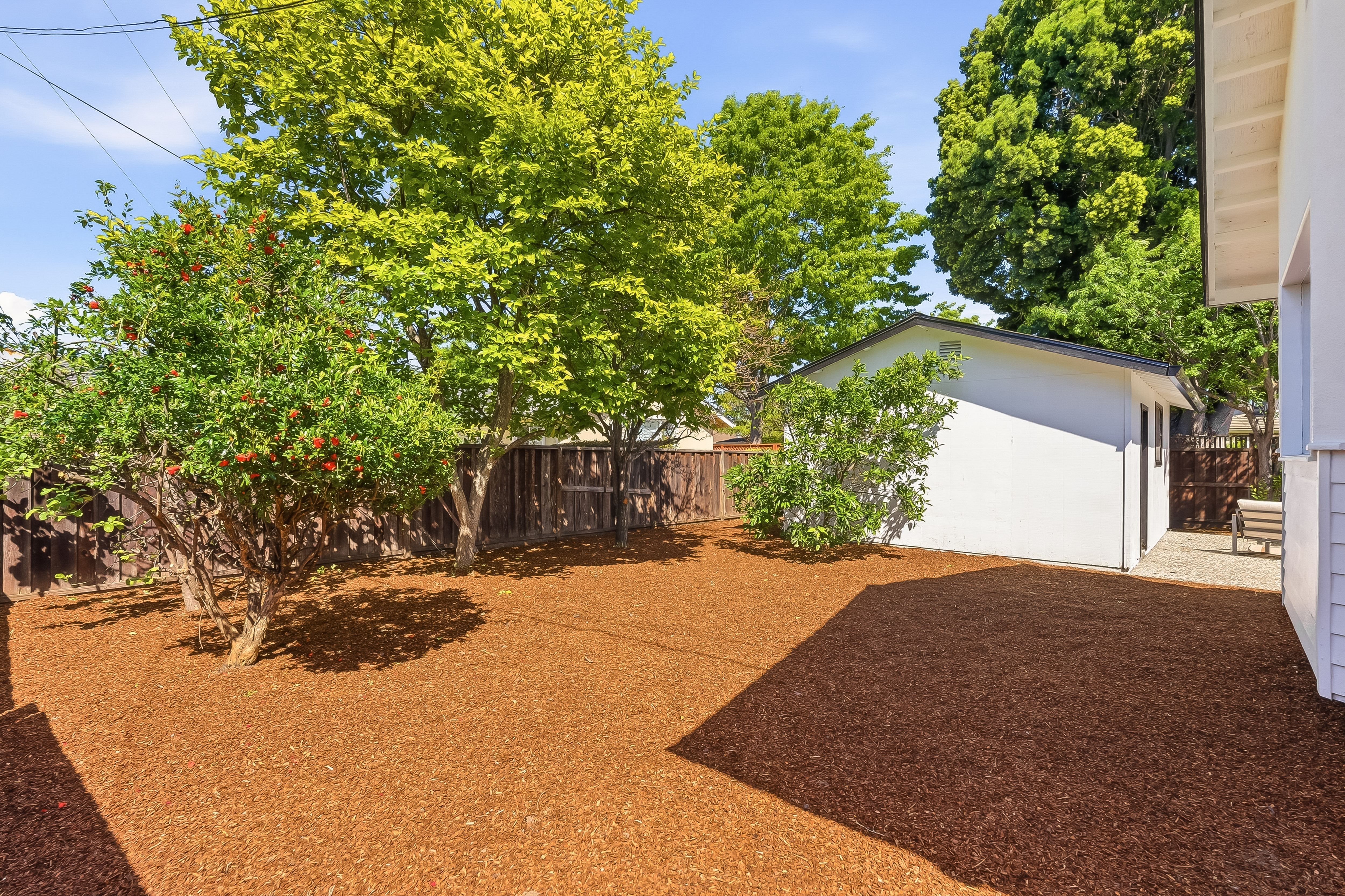  Charming Home in Sunnyvale’s Desirable Neighborhood - 物件實景