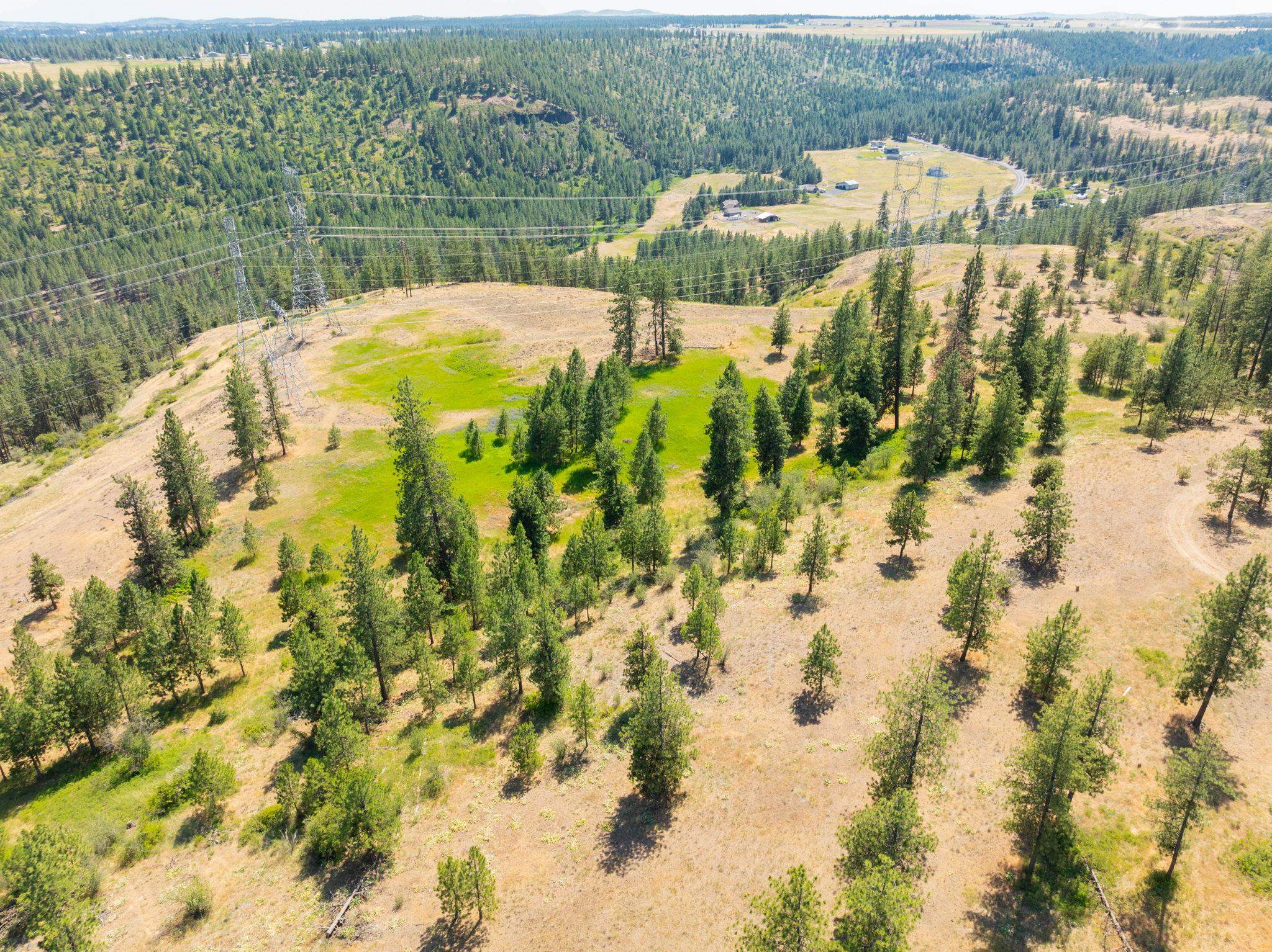 Nine Mile Falls, Washington, 99026, United States, ,Land,For Sale,1960887