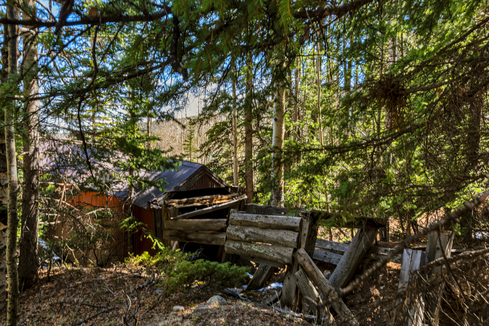  270 Co Rd 667, Alma, CO, 80440 - 物件實景
