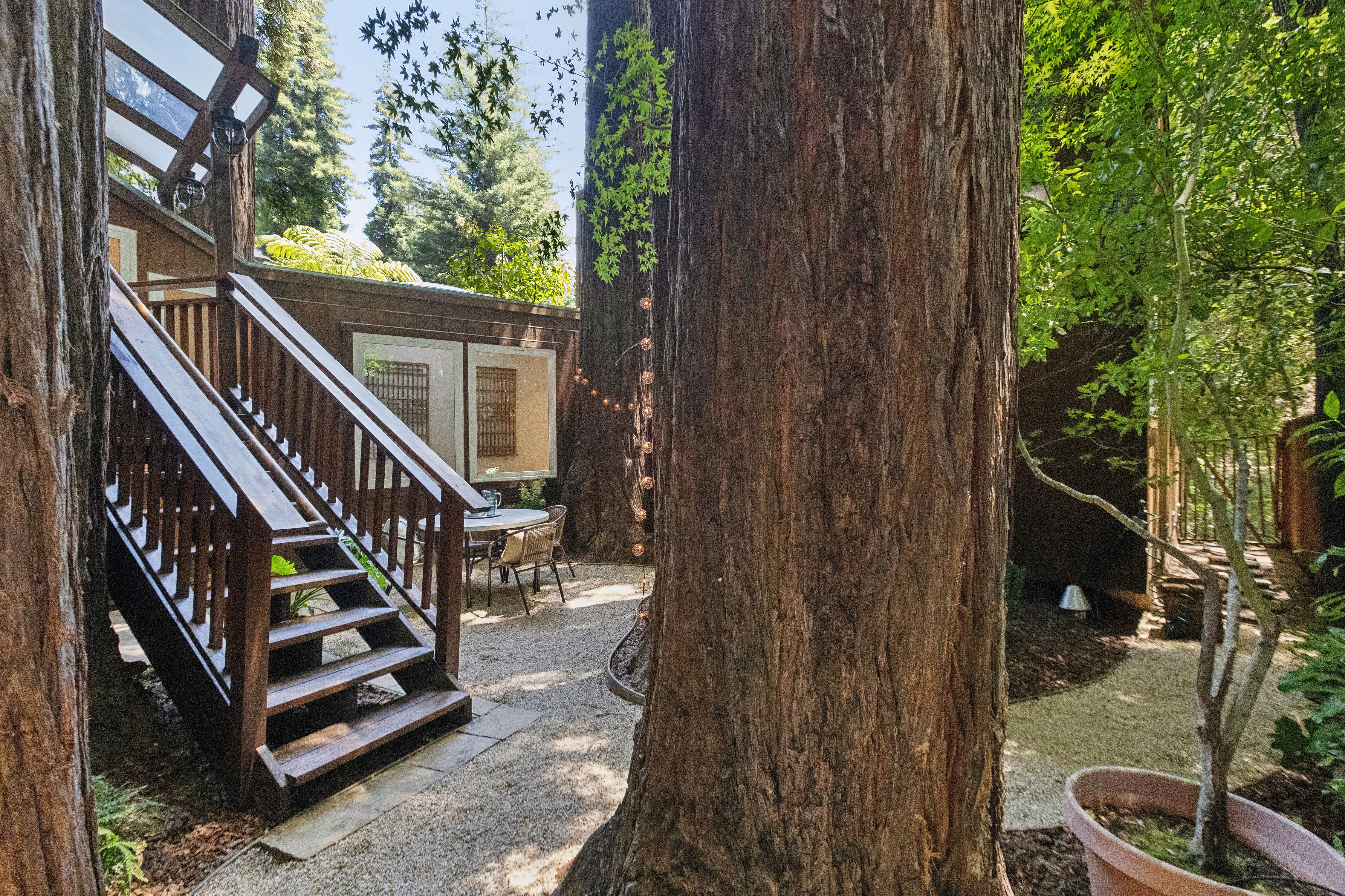  Magical Madrone Canyon Retreat - 物件實景