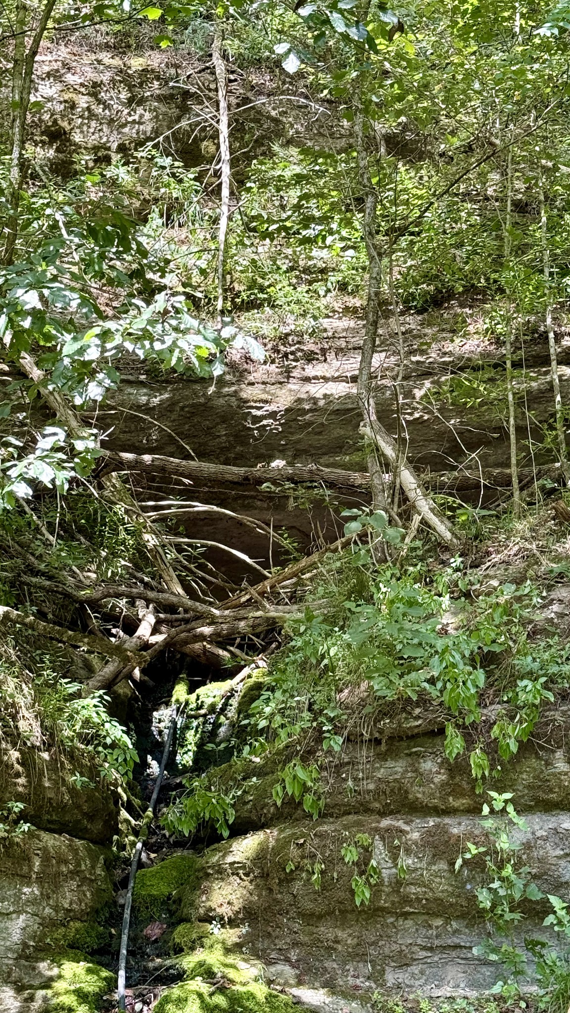 Celina, Tennessee, 38551, United States, ,Land,For Sale,1977132