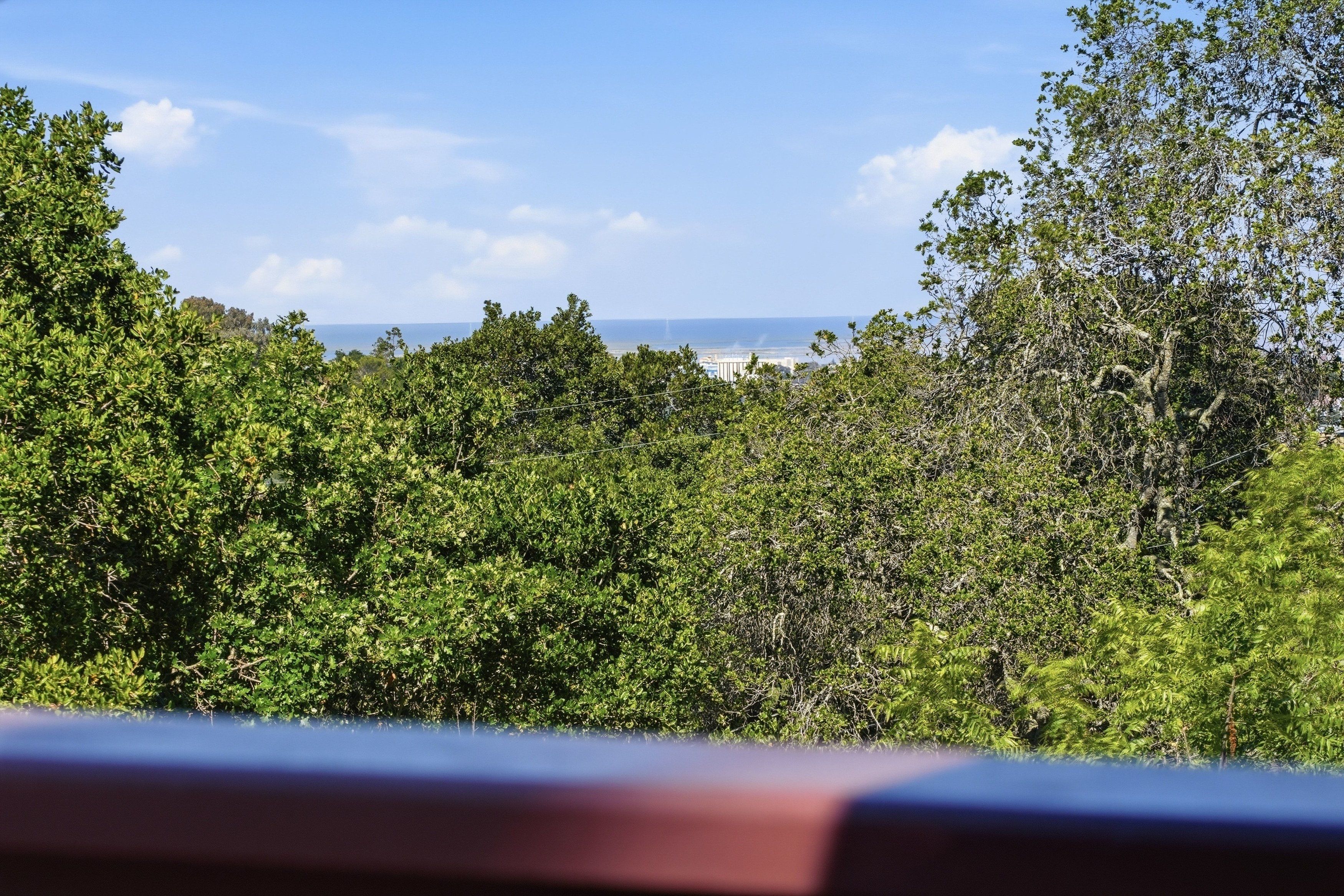  157 Springdale Way, Redwood City, CA 94062 - 物件實景