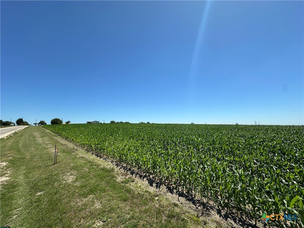 Temple, Texas, 76501, United States, ,Residential,For Sale,1810642