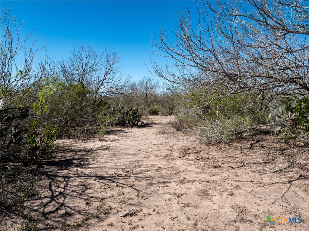 George West, Texas, 78022, United States, ,Land,For Sale,1738703