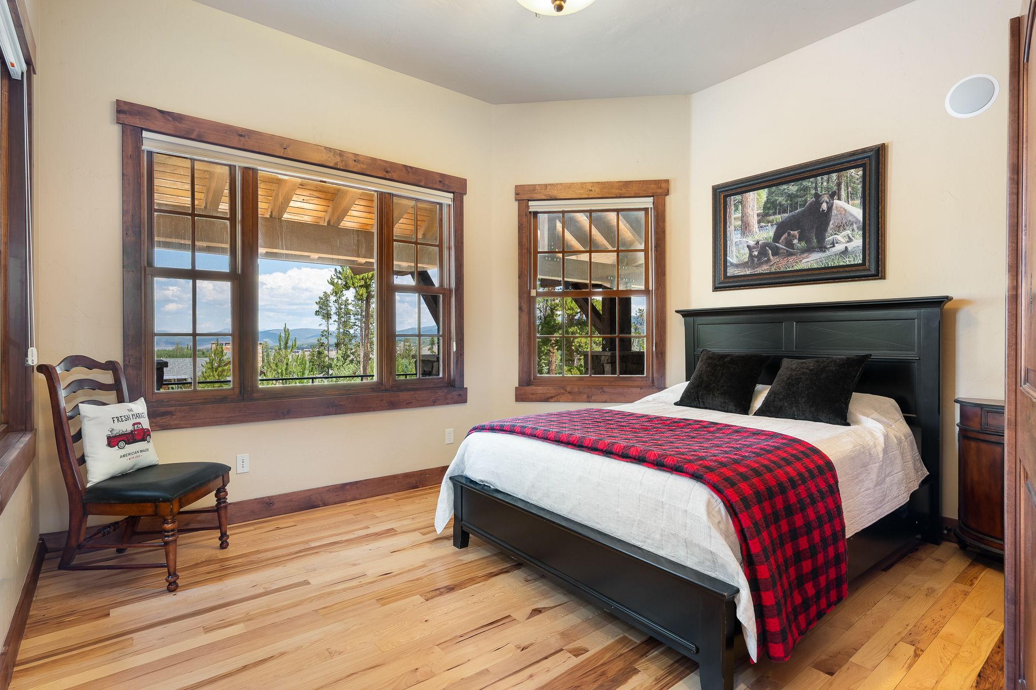  217 Leland Creek, Winter Park, CO, 80482 - 物件實景