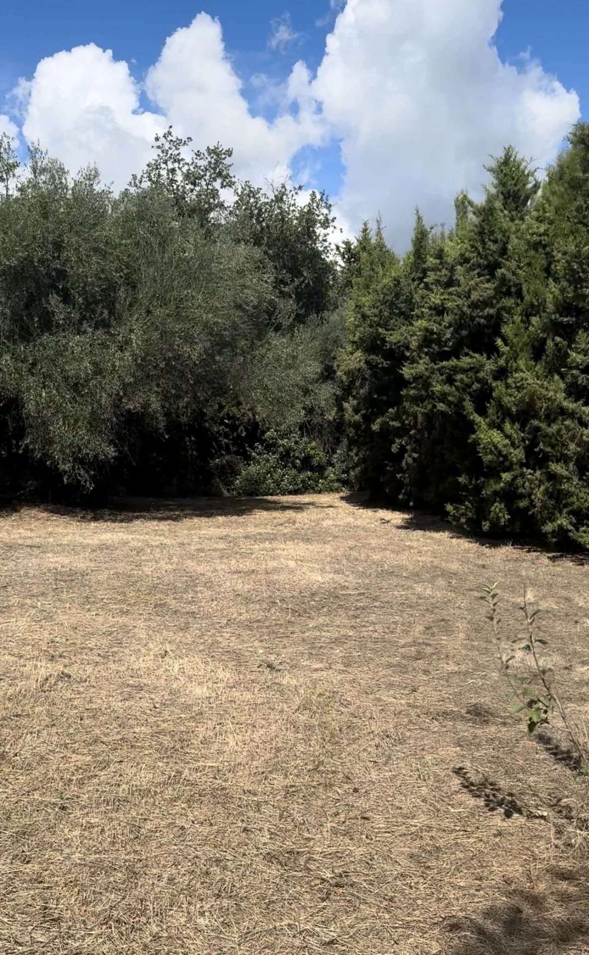 Valbonne, Provence-Alpes-Côte d’Azur, 06560, FR, ,Land,For Sale,1959024