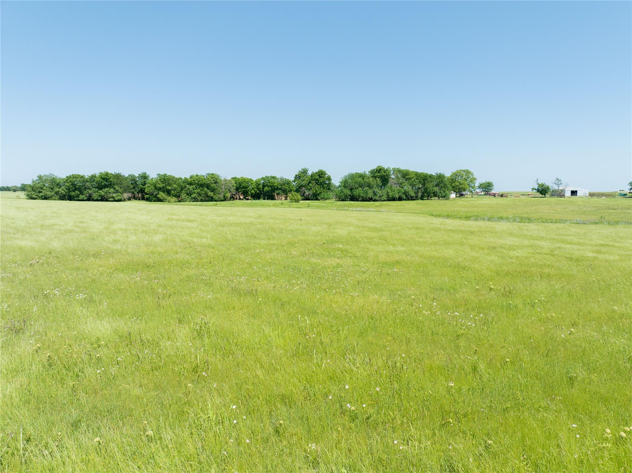 Blossom, Texas, 75416, United States, ,Residential,For Sale,1863967