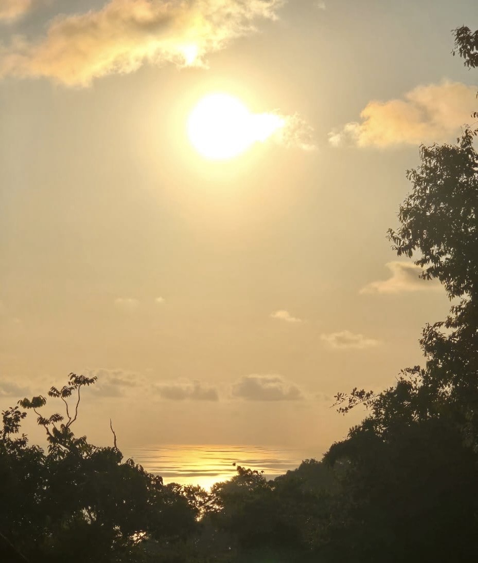 Costa Verde Estates Lot 81 & 84, Islas Road, Dominical, Puntarenas, CR, ,Land,For Sale,Costa Verde Estates Lot 81 & 84, Islas Road,1611884