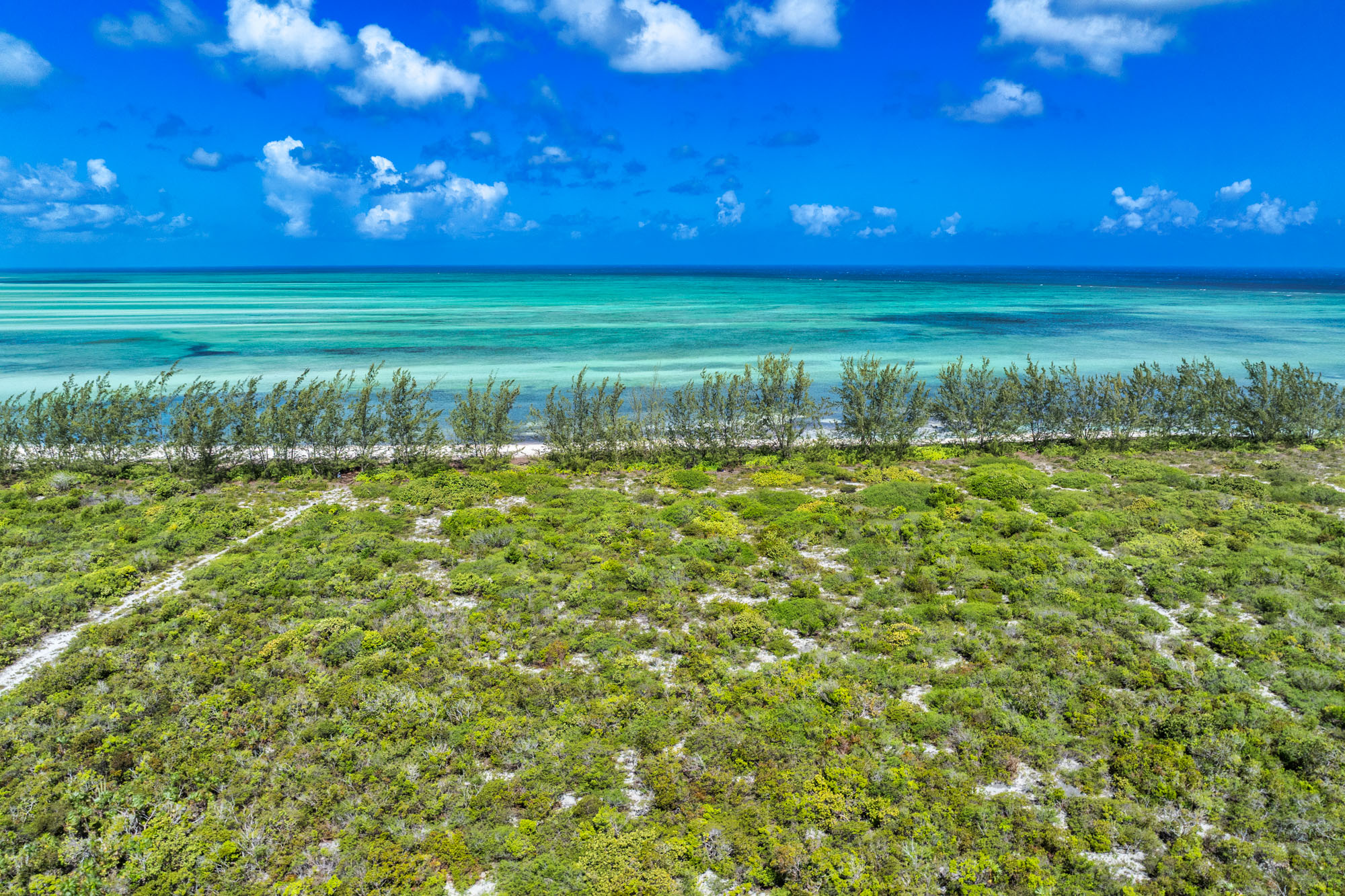  Beachfront Development Land On North Caicos - 22.83 Acres - 物件實景