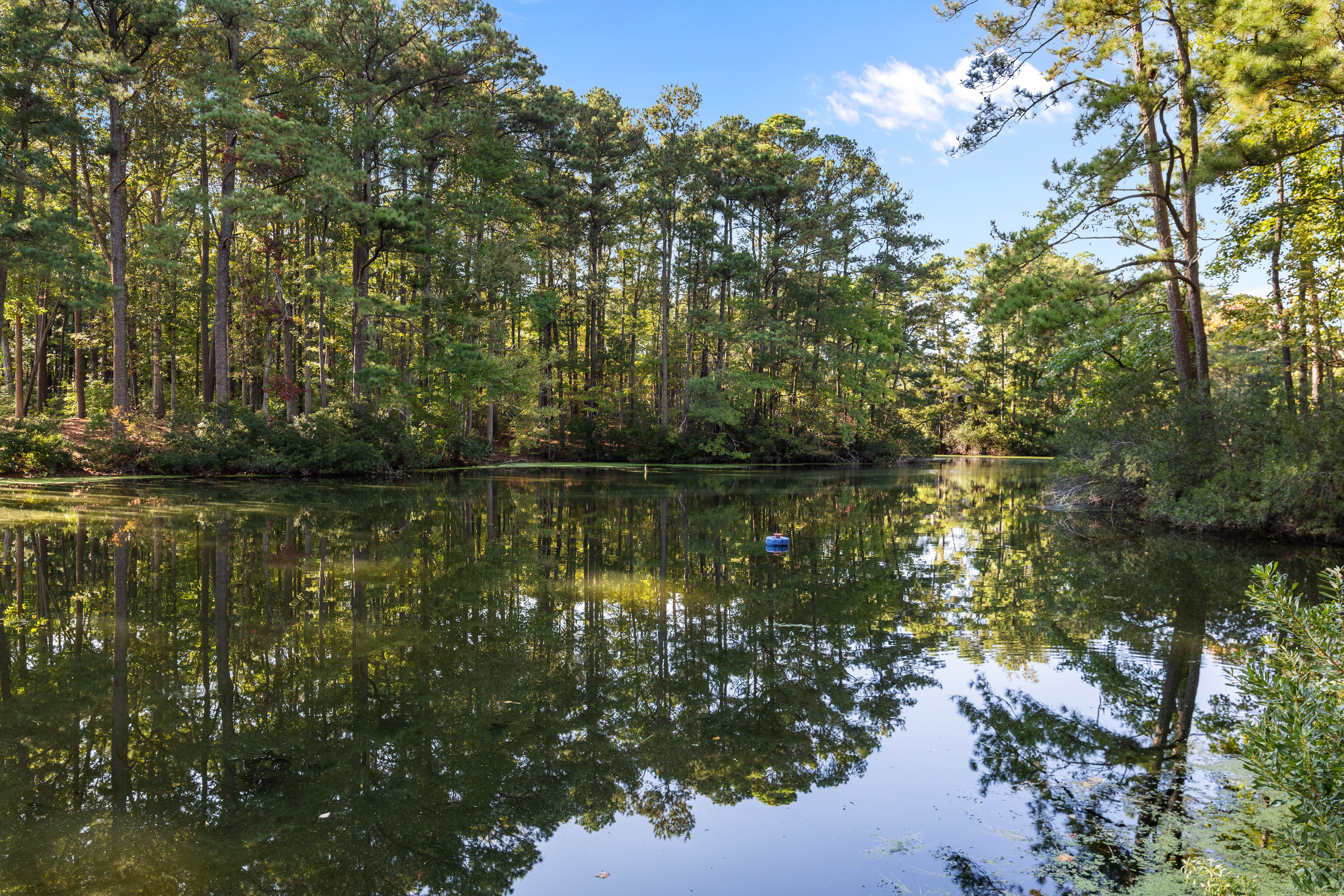  1000 Truitt Court, Virginia Beach, VA 23454 - 物件實景
