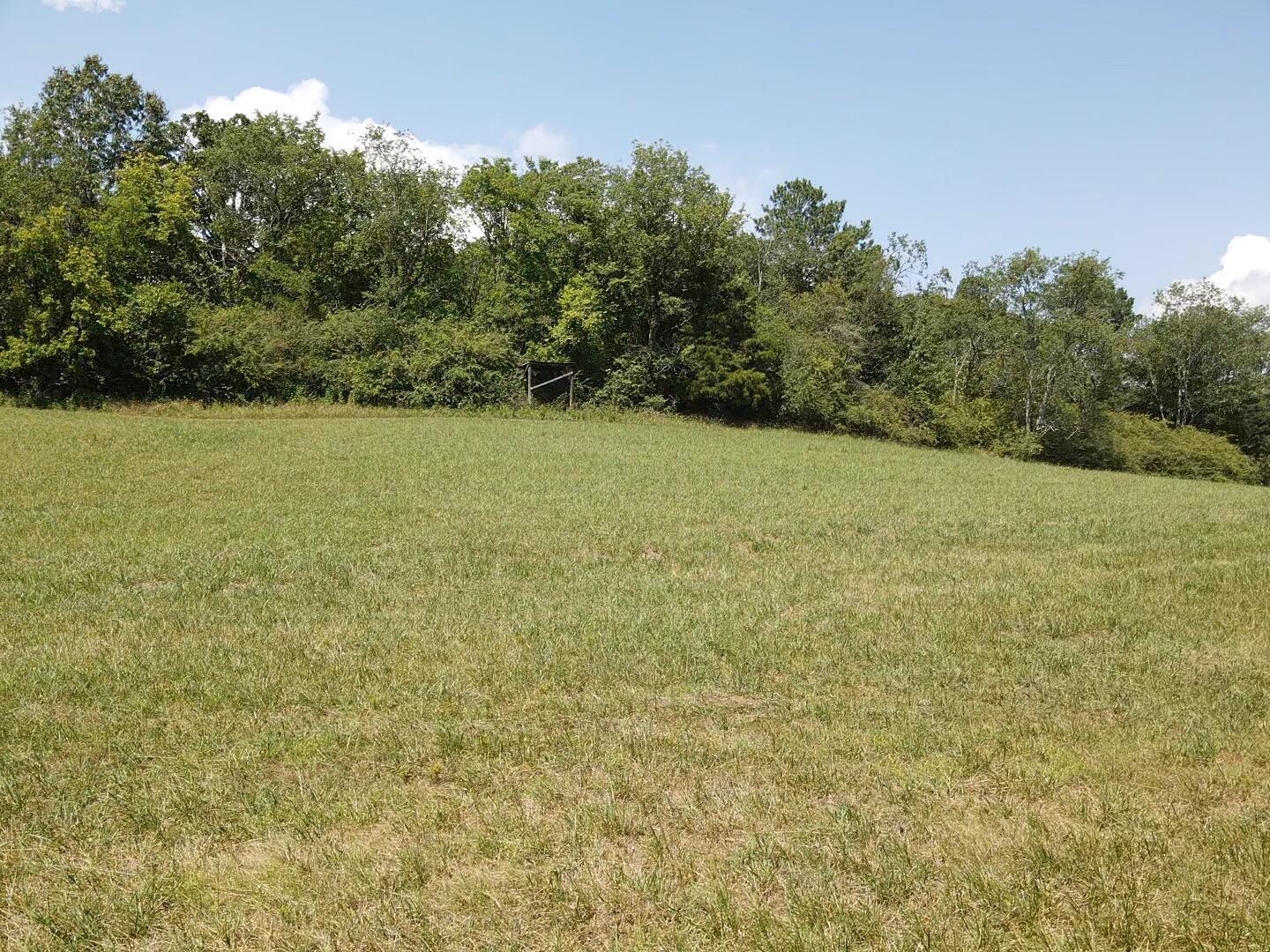 Bryant, Alabama, 35958, United States, ,Land,For Sale,1982684