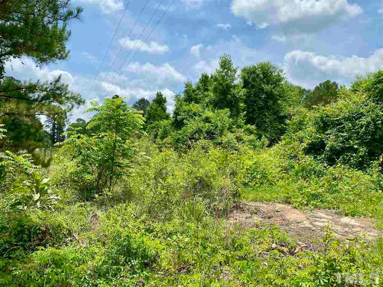 0 devils racetrack RD, Four Oaks, North Carolina, 27524, United States, ,Land,For Sale,0 devils racetrack RD,1432229