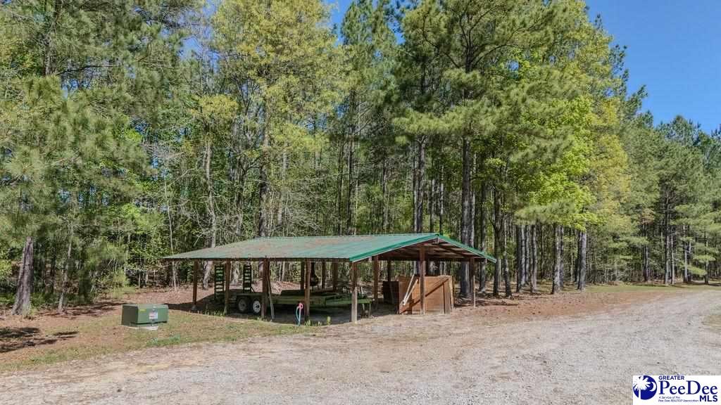 1315 Hill Harrell Road, Effingham, South Carolina, 29541-3179, United States, ,Land,For Sale,1315 Hill Harrell Road,1501598