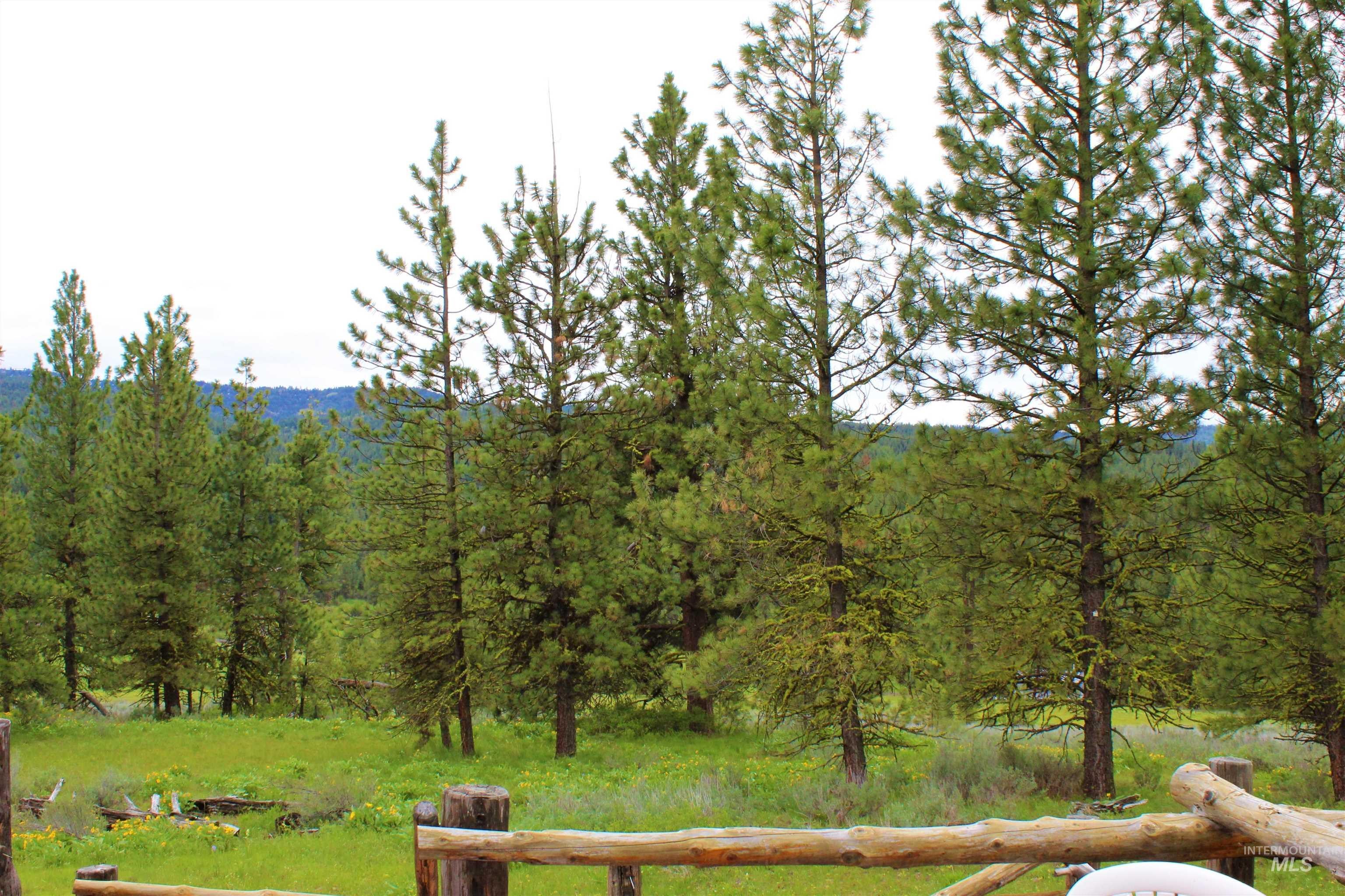 New Meadows, Idaho, 83654, United States, 1 Bedroom Bedrooms, ,1 BathroomBathrooms,Residential,For Sale,1979546