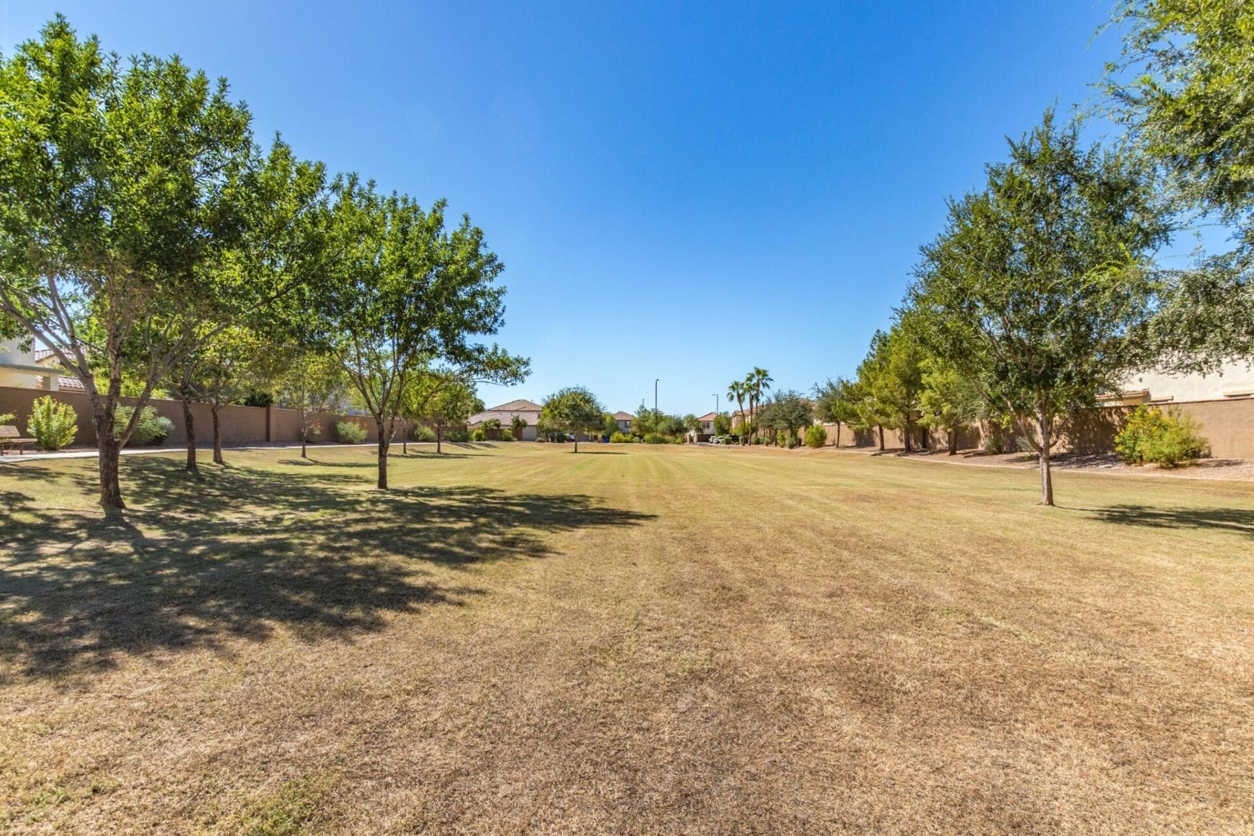  1271 E Canyon Creek Drive  Gilbert, AZ - 物件實景