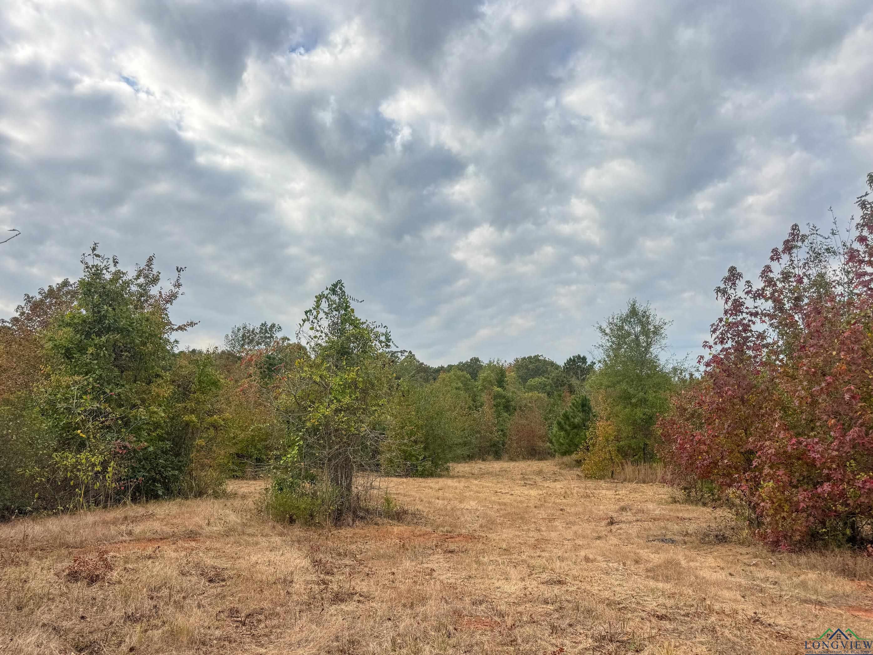 Marietta, Texas, 75566, United States, ,Land,For Sale,1977958