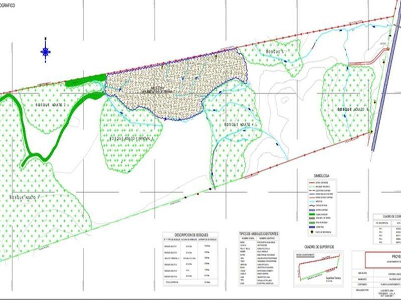 Ancud, Chile, ,Residential,For Sale,1759284
