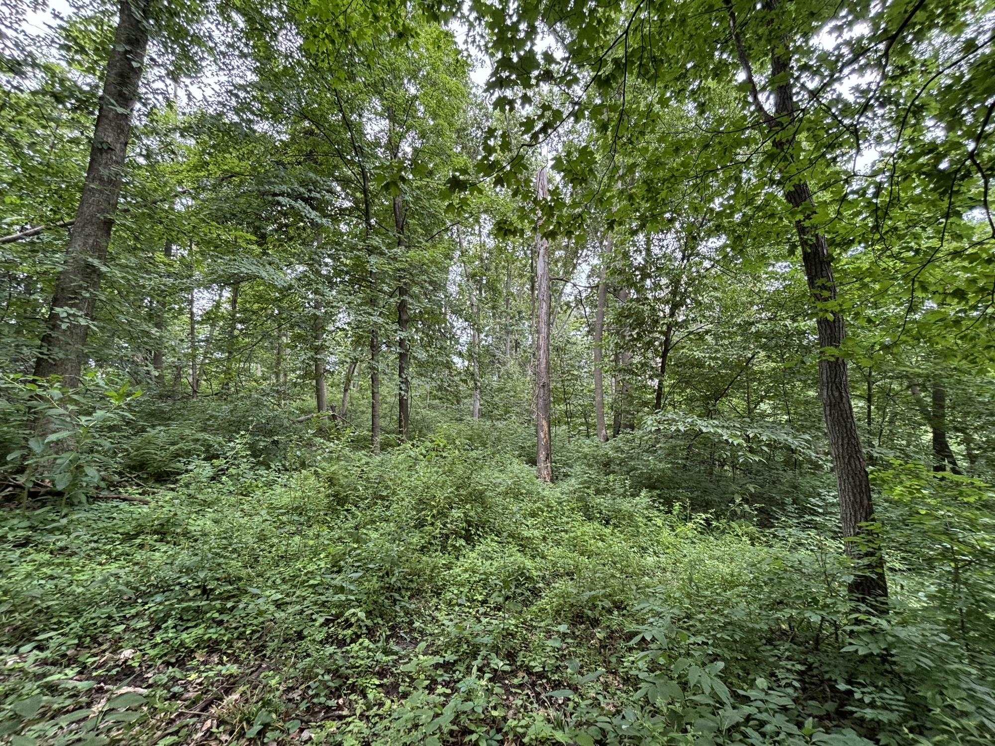 Gays Mills, Wisconsin, 54631, United States, ,Residential,For Sale,1928729