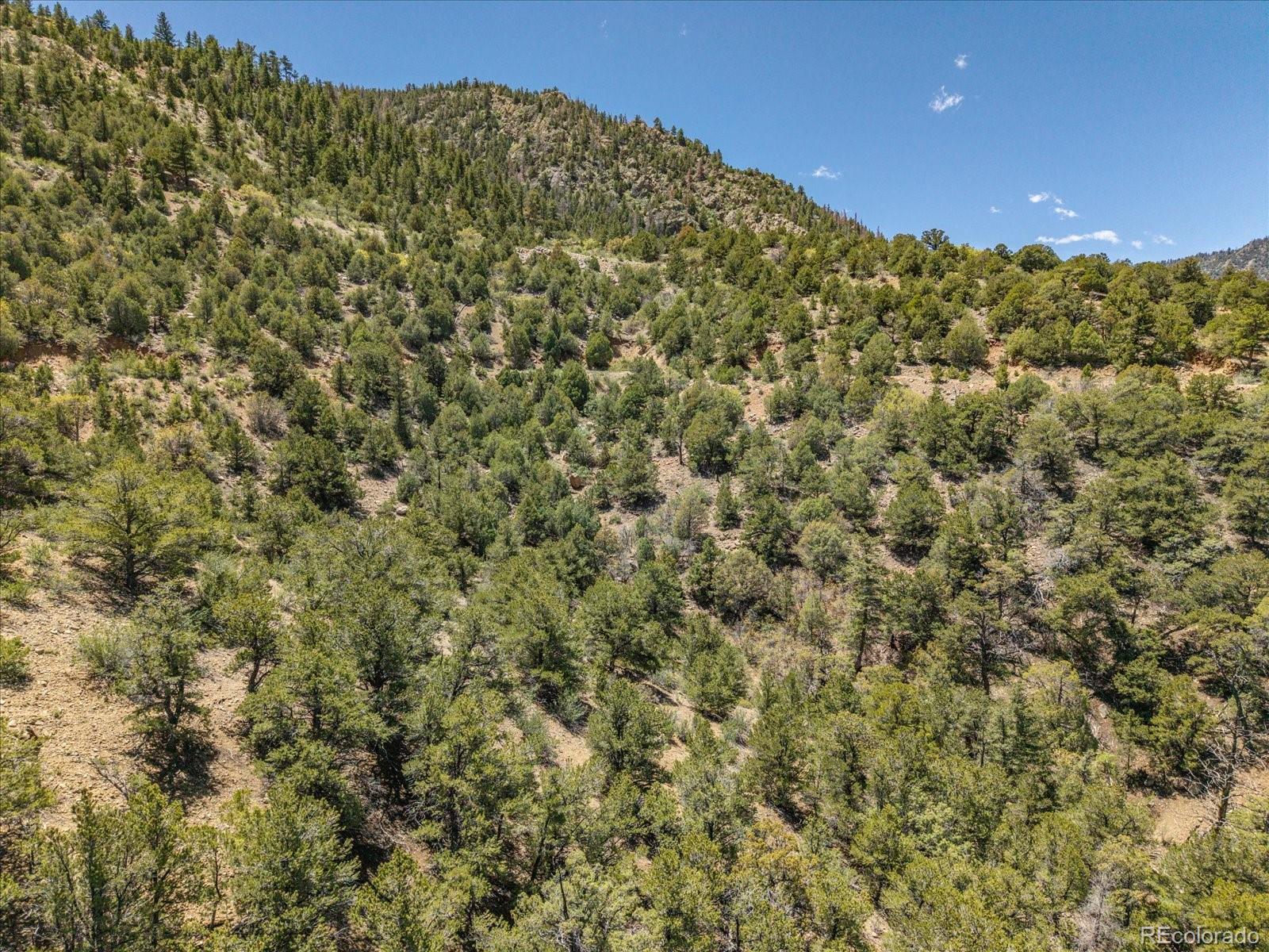 Poncha Springs, Colorado, 81242, United States, ,Land,For Sale,1975711