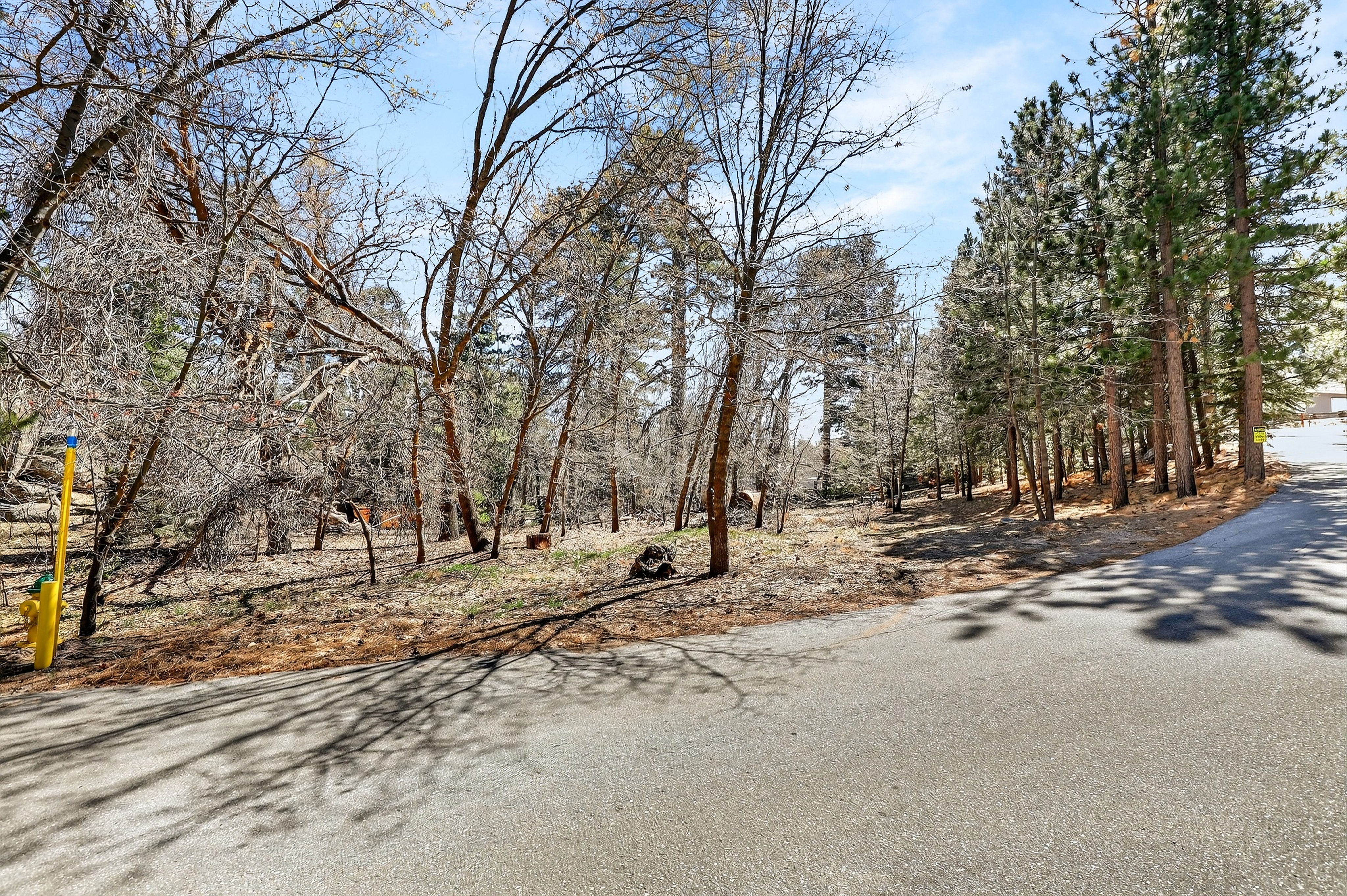  0 Cepu Rd, Running Springs , CA 92382 - 物件實景