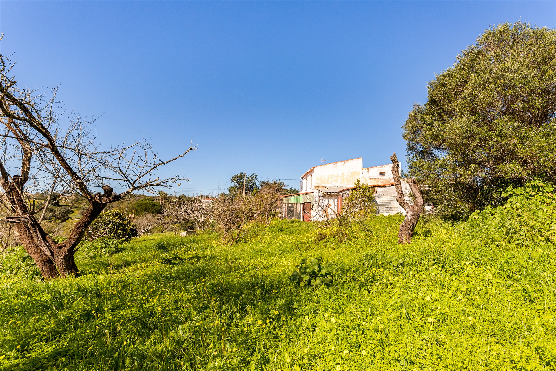  House for Sale - 物件實景