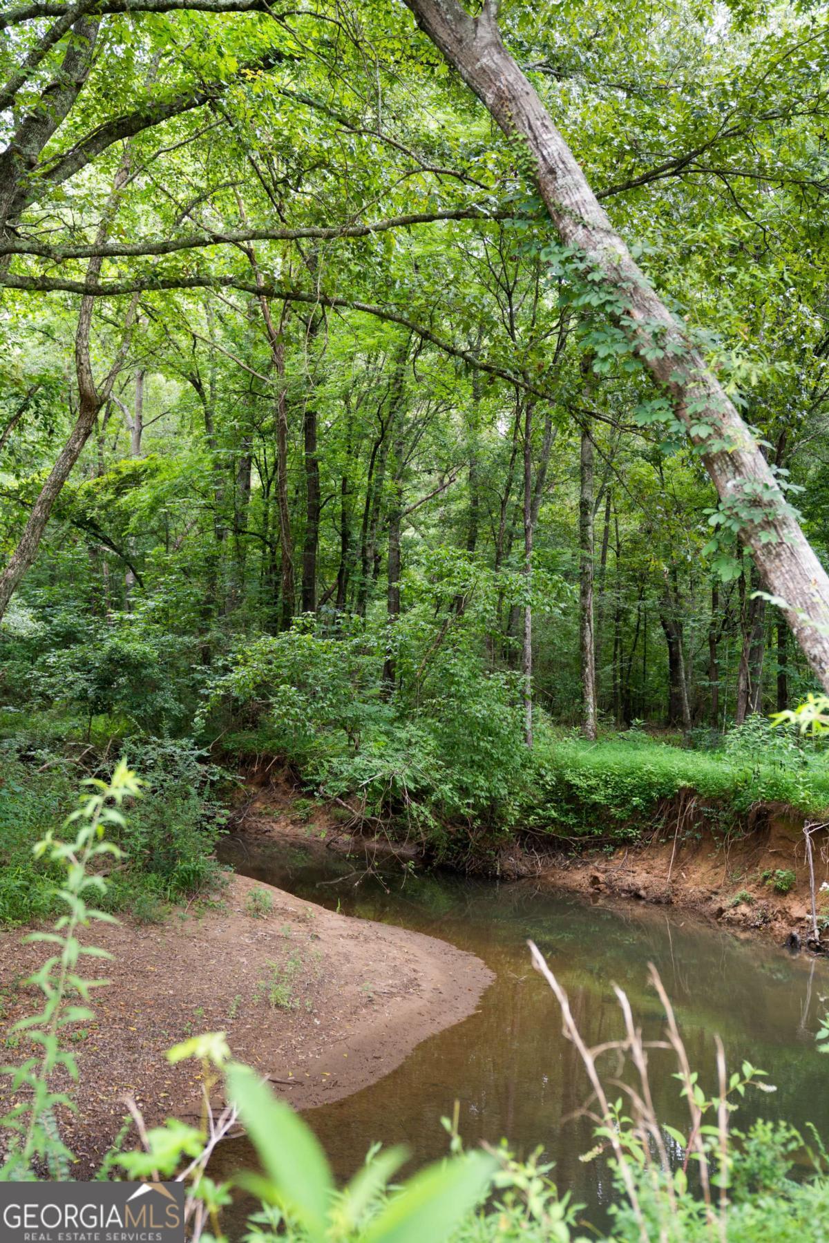 Rome, Georgia, 30165, United States, ,Land,For Sale,1890078