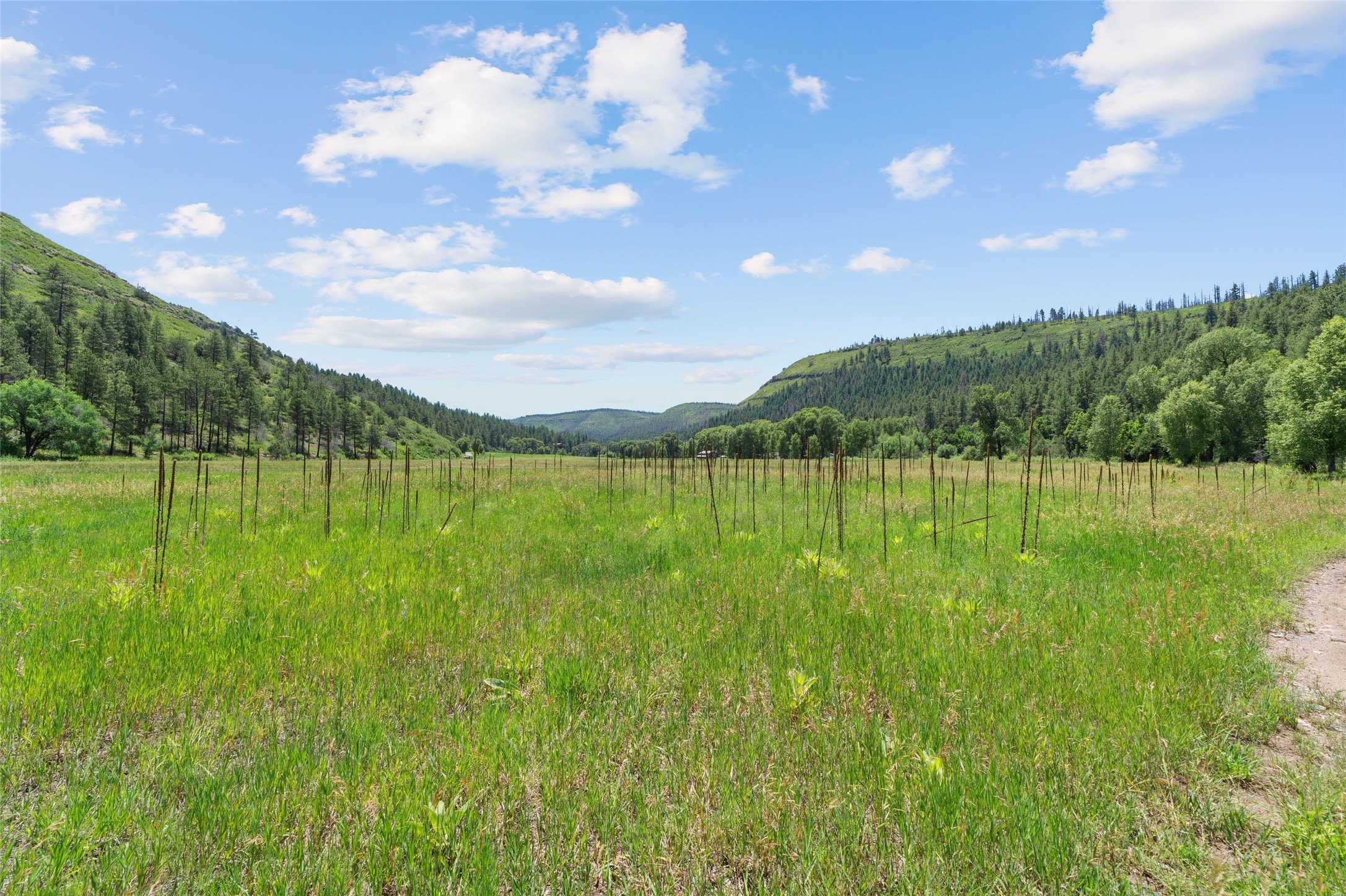  997 New Mexico Highway 65 - Rio de Vega Ranch - 物件實景