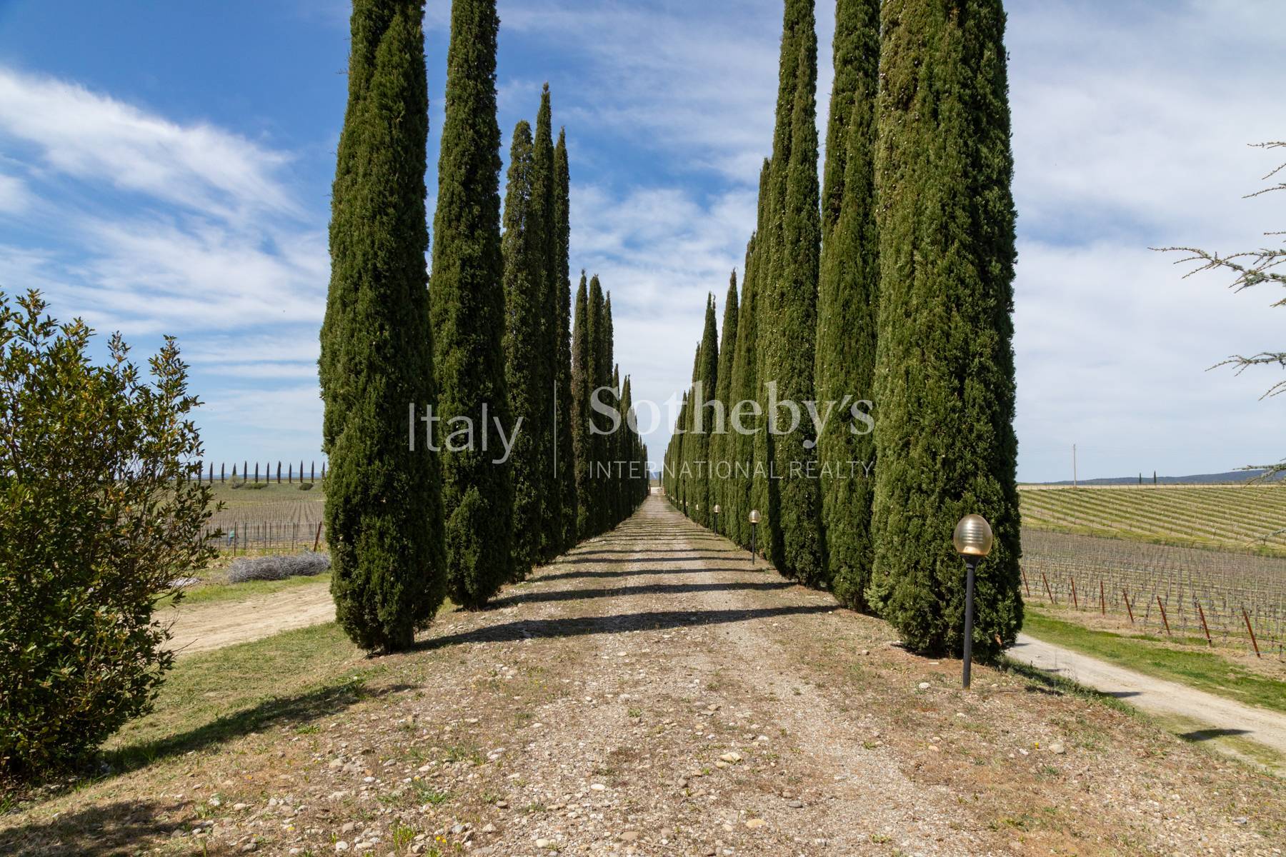  Charming Residence in the heart of the Brunello wine region - 物件實景