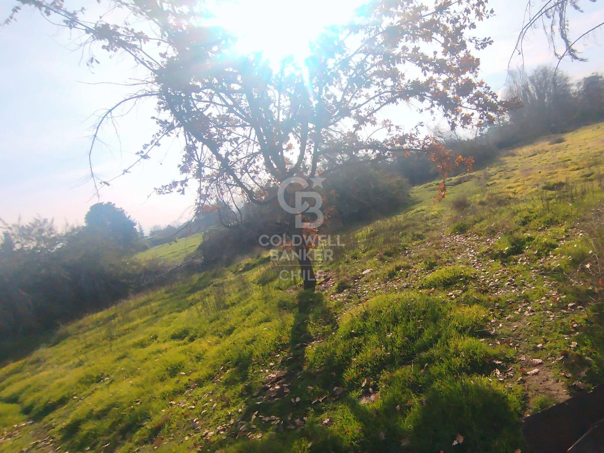 Colina, Chile, ,Residential,For Sale,1901771