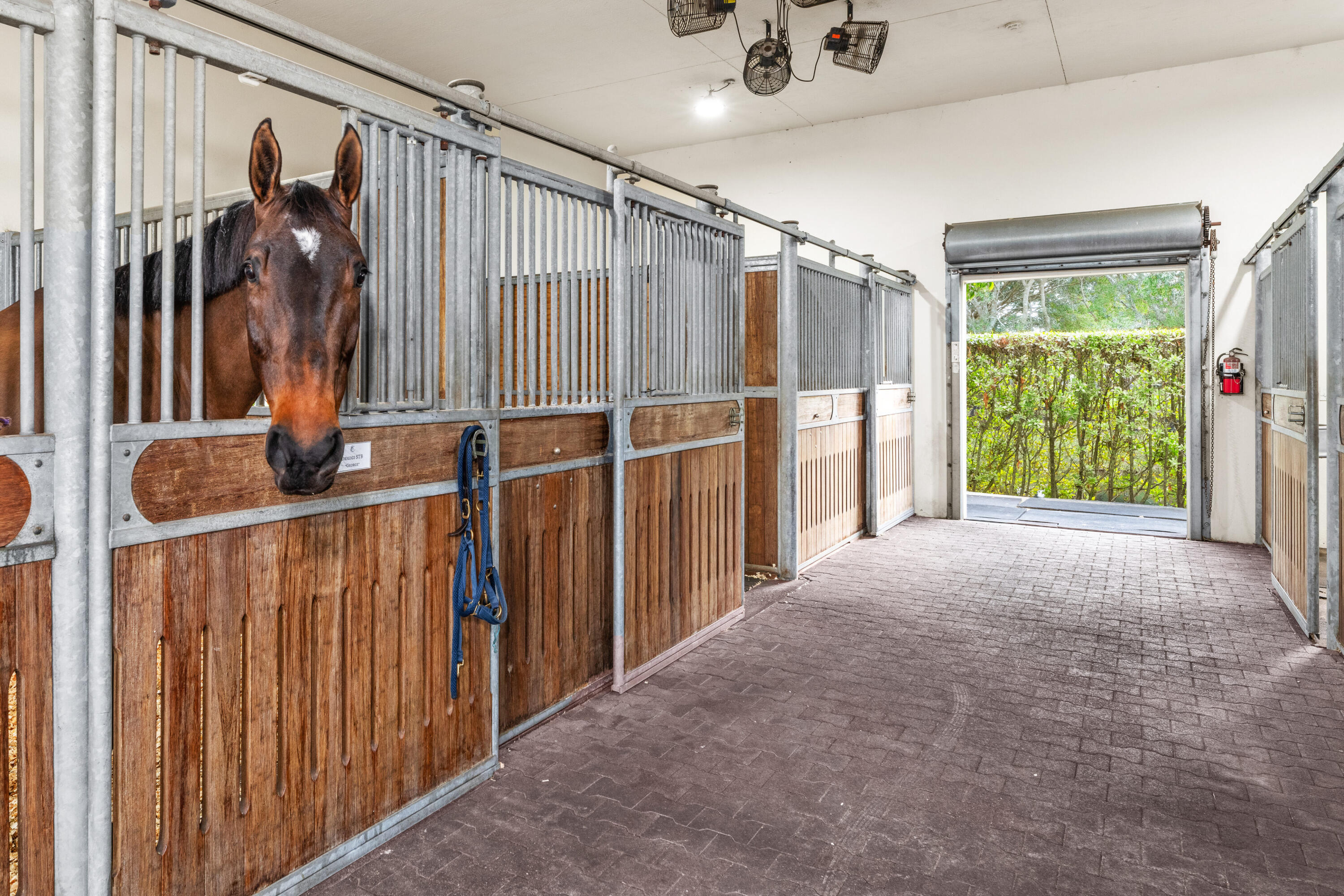  14750 Palm Beach Point Boulevard - 物件實景