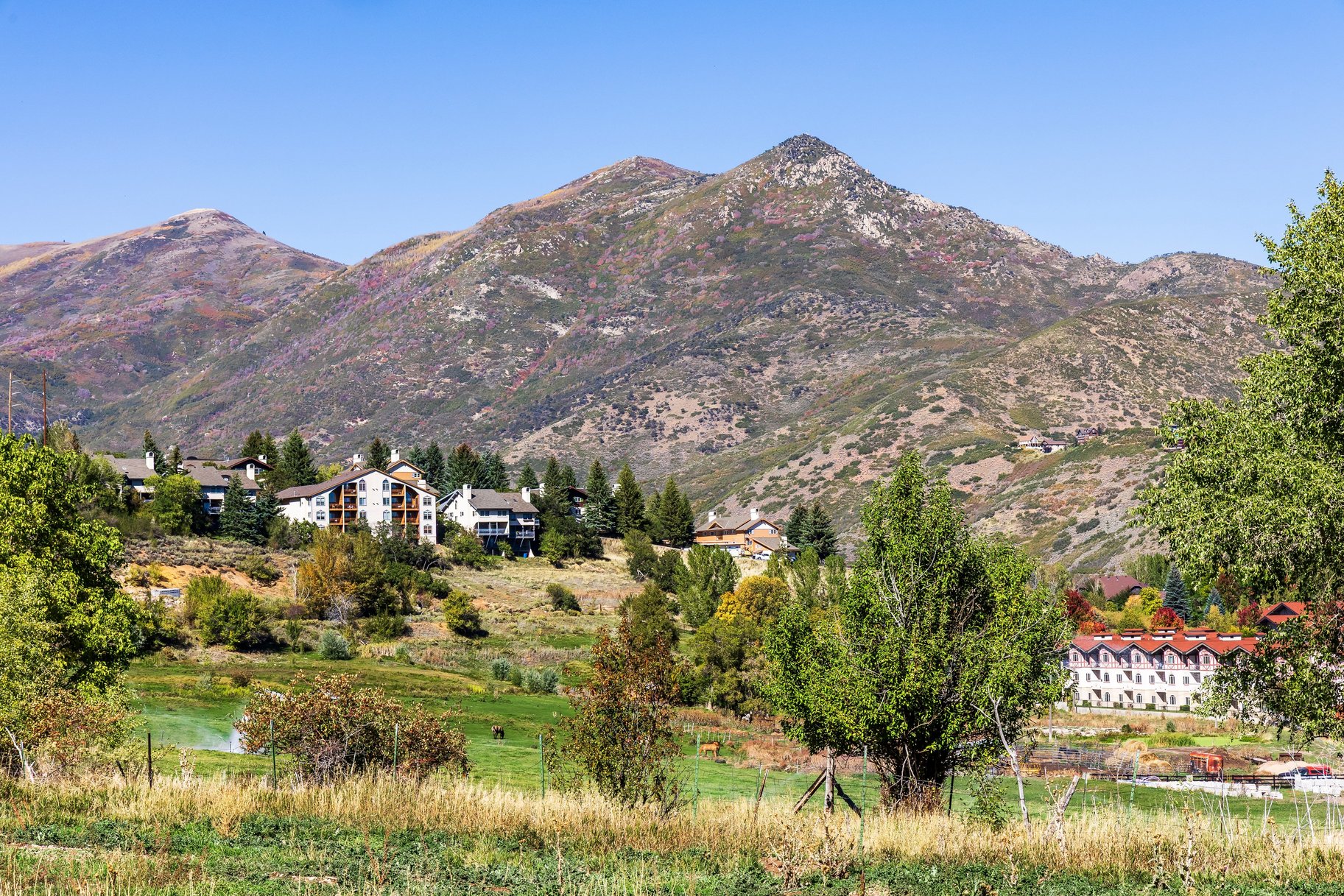  Rare 4-Acre Estate Property overlooking Midway - 物件實景