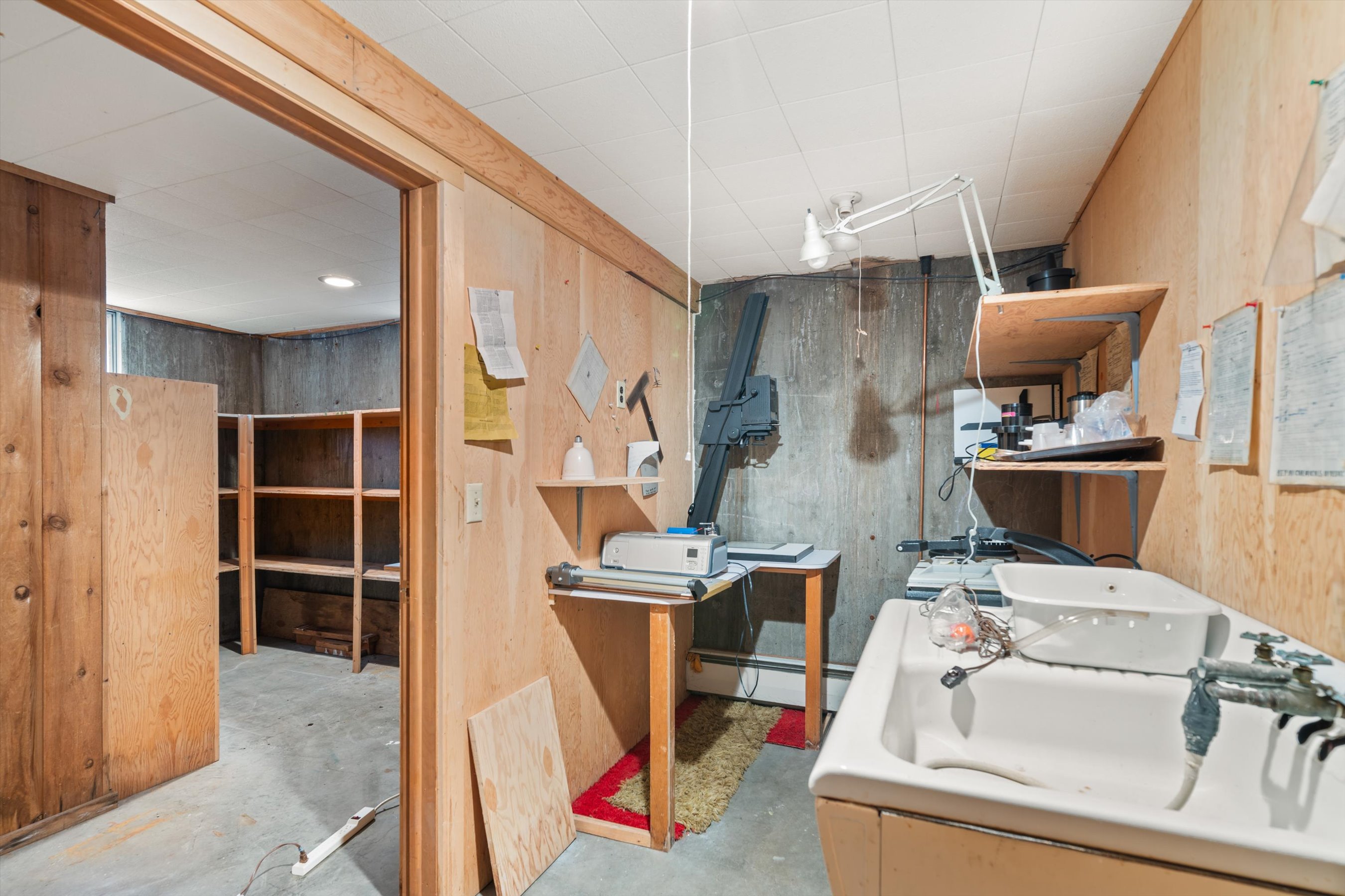  875 Bonita Drive, Aspen, CO 81611 - 物件實景