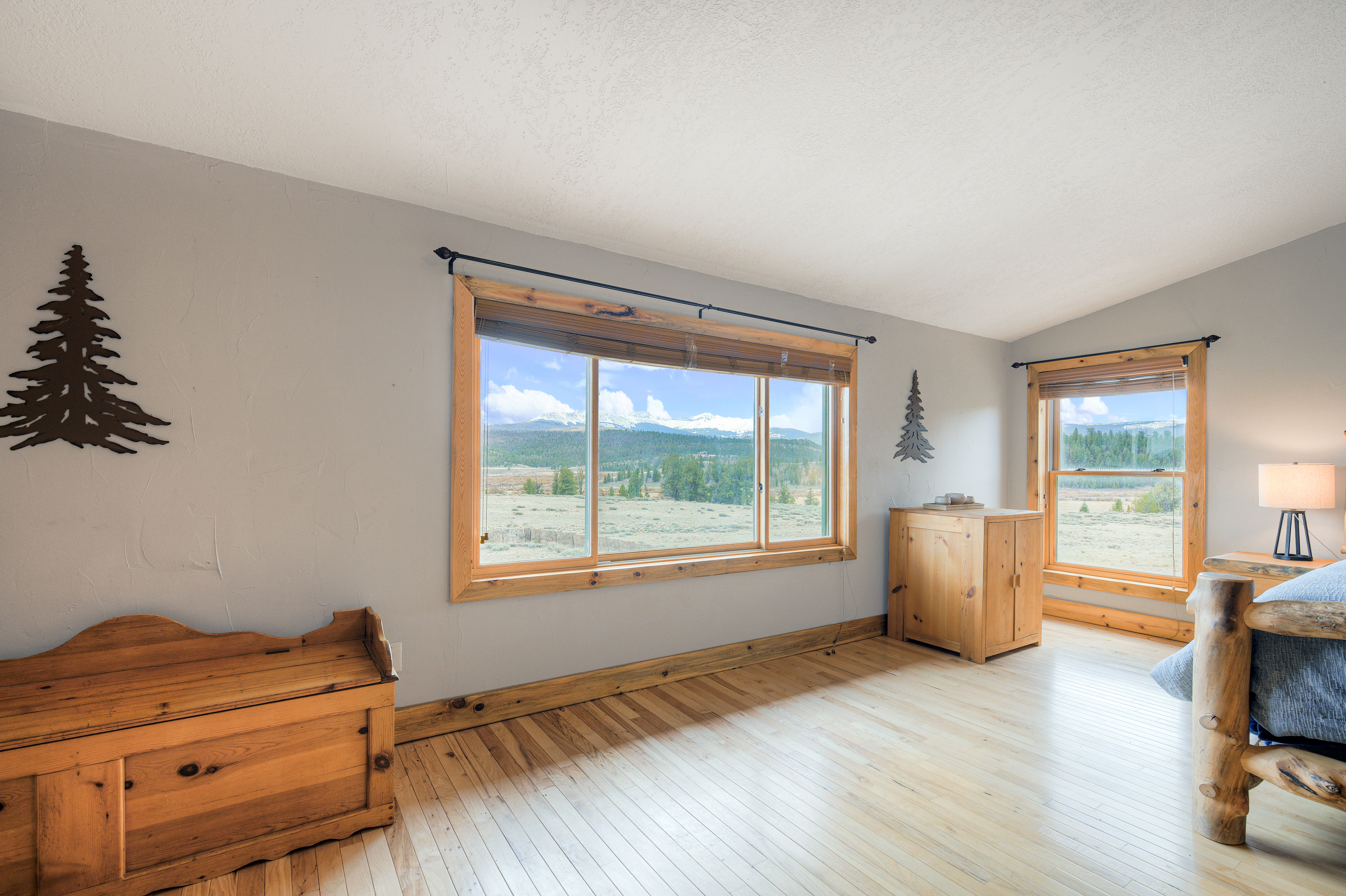  2867 Willow Creek Lane, Fairplay, CO, 80440 - 物件實景