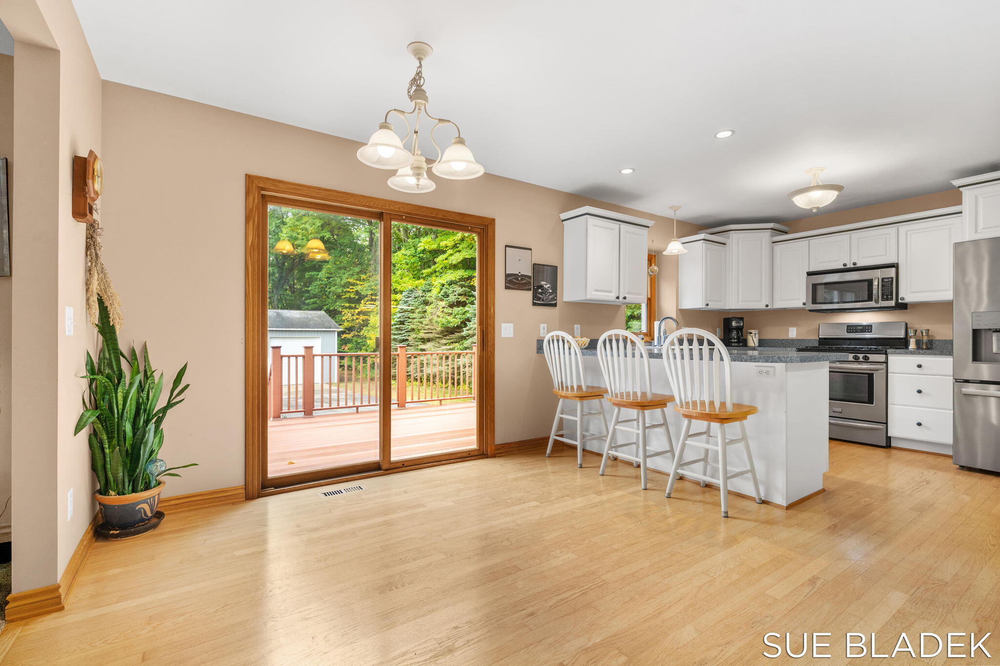 Fennville, Michigan, 49408, United States, 4 Bedrooms Bedrooms, ,4 BathroomsBathrooms,Residential,For Sale,1966449