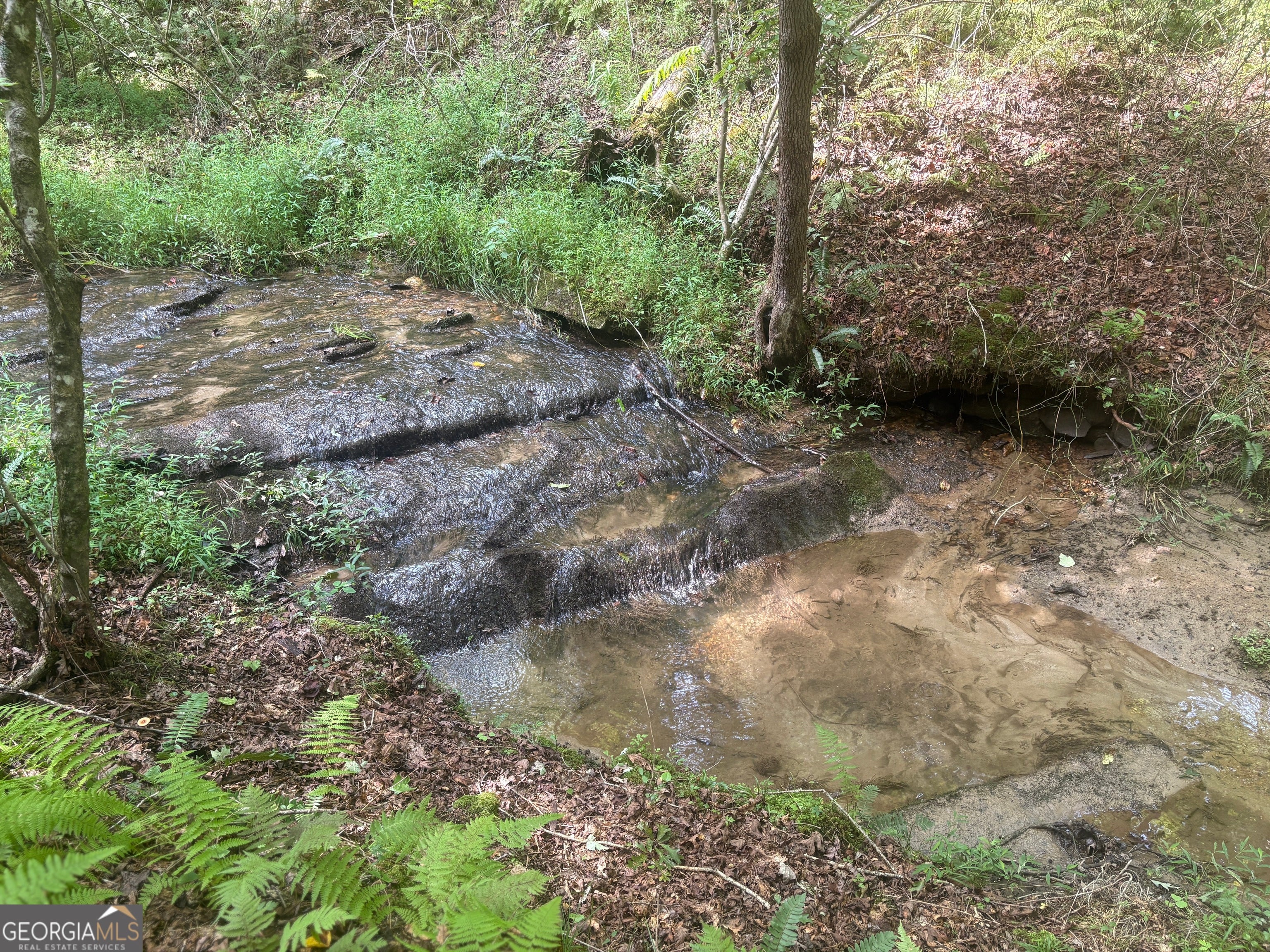 Friendship Ln, Mineral Bluff, GA 30559 #1