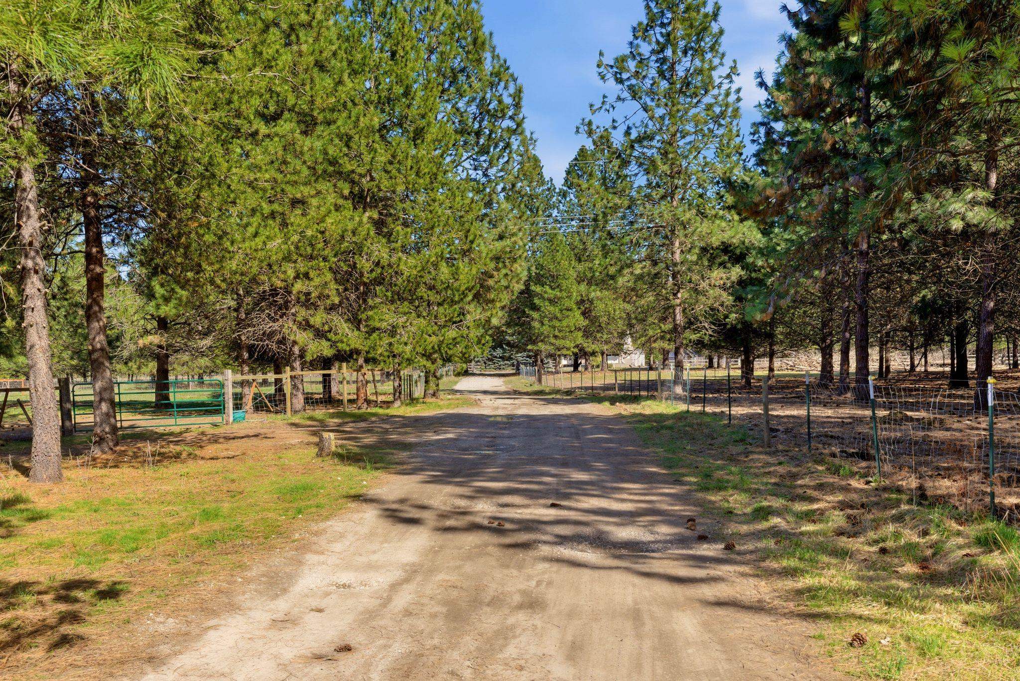 Deer Park, Washington, 99006, United States, 3 Bedrooms Bedrooms, ,3 BathroomsBathrooms,Residential,For Sale,2036867