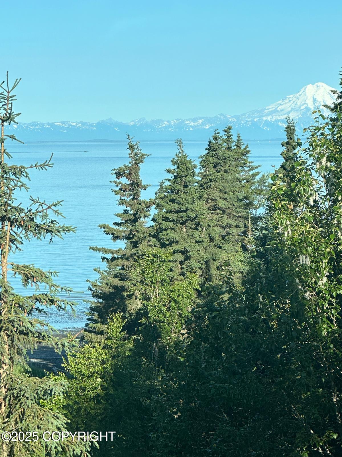 Kasilof, Alaska, 99610, United States, ,Land,For Sale,1975582